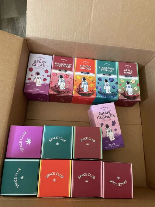 Space Club Disposable